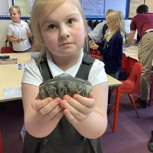 STEM rock specialist